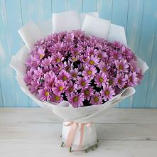 Букет цветов из:  Хризантемы в Инсаре