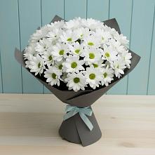 Букет цветов из:  Хризантемы #REPLACE_PRED# Инсаре
