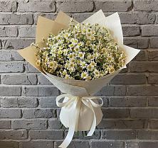 Букет цветов из:  Ромашки #REPLACE_PRED# Инсаре