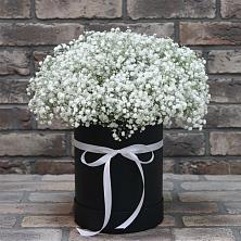 Цветочная композиция из Гипсофила в шляпной коробке в Инсаре